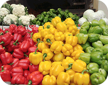 Farm-to-Business Solutions